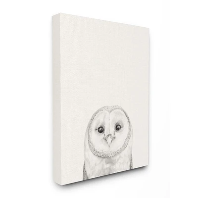 Stupell Industries Owl Portrait Grey Drawing Design Canvas Wall Art