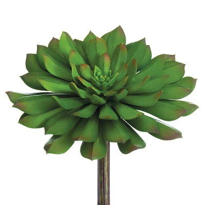 Soft Touch Bright Green Echeveria Pick with Red Tips