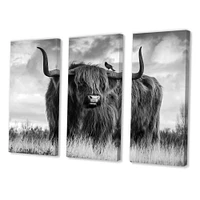 Designart - Longhaired Scottish Bull