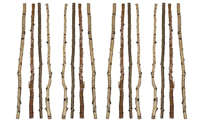 59" Long Wood Birch Branches, 16ct.