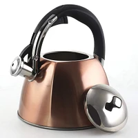 Mr. Coffee Belgrove 2.5qt. Copper Whistling Tea Kettle