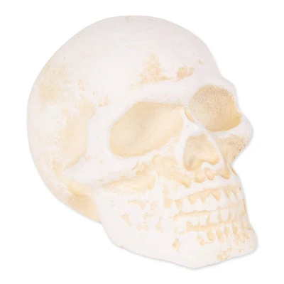 DII® Human Skull Cast Iron Paperweight