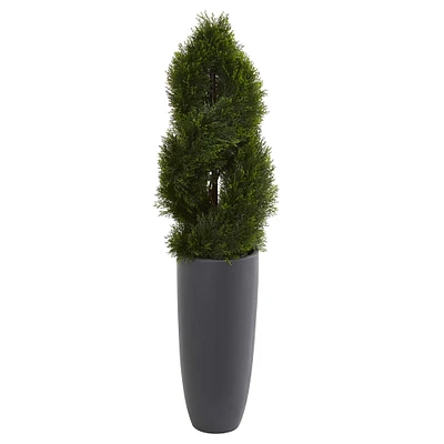 4.5ft. Double Pond Cypress Spiral Tree in Cylinder Planter