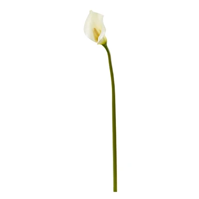 White Calla Lily Flower Stems, 6ct.