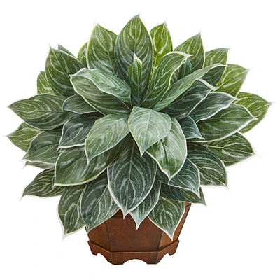 18" Chinese Evergreen Plant in Decorative Planter