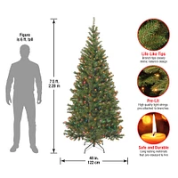 7.5ft. Pre-Lit Aspen Spruce Artificial Christmas Tree, Multicolor Lights