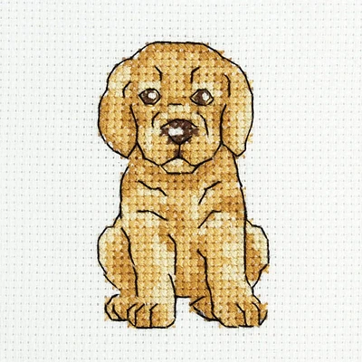 RTO Clumsy Jackie Counted Cross Stitch Kit
