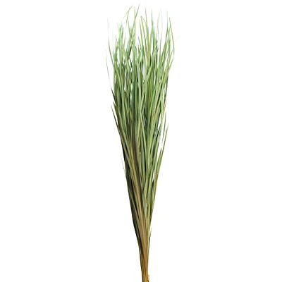 8 Pack: Green Magnolia Flax Grass Bundle by Ashland®