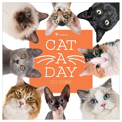 2023 Cat-A-Day Wall Calendar