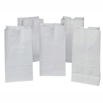 6 Packs: 50 ct. (300 total) Pacon® Rainbow® White Kraft Bags