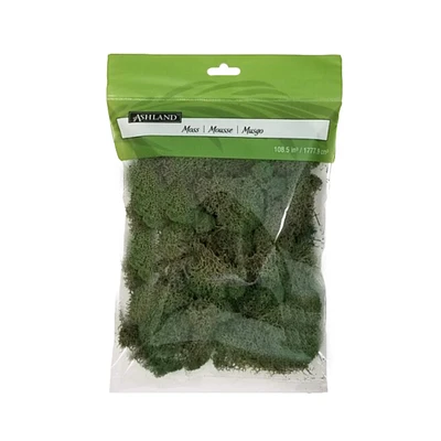 12 Pack: Basil Green Reindeer Moss by Ashland®