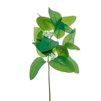 Eucalyptus Leaves & Berries Pick by Ashland®