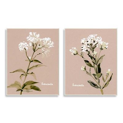 Stupell Industries White Boneset Flowers Soft Green White Brown,10" x 15"