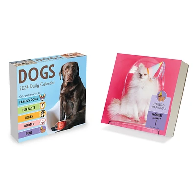 TF Publishing 2024 Dog A Day Daily Desktop Calendar