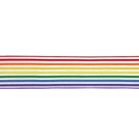 1.5" Sheer Wired Rainbow Striped Ribbon by Celebrate It™ 360°™
