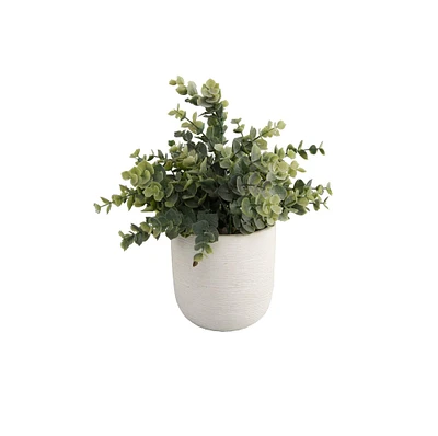 Flora Bunda® 6" Eucalyptus Plant in Ceramic Texture Planter