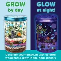 12 Pack: Creativity for Kids® Grow N' Glow Terrarium