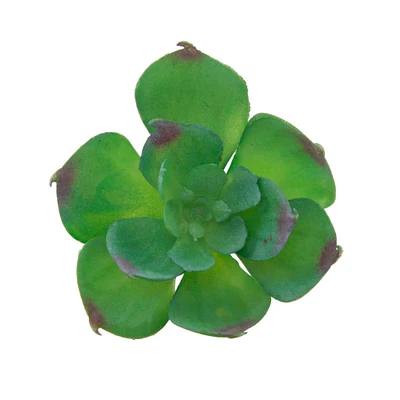Flora Bunda® Small Echeveria Afterglow Succulent Pick