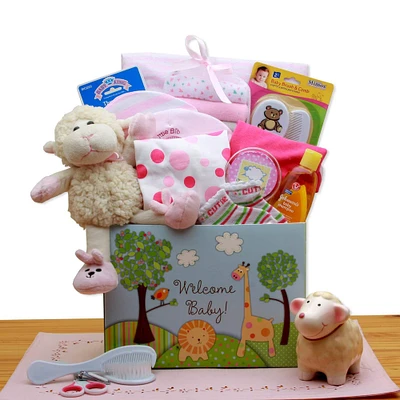 Welcome New Baby Girl Gift Box