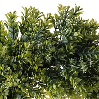 22" Boxwood Wreath by Ashland®