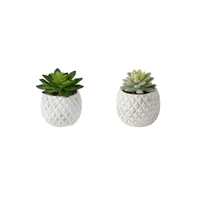 Flora Bunda® 4.5" Succulent in Pineapple Pot, 2ct.