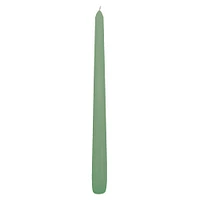 10" Taper Candle by Ashland