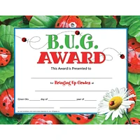 Hayes® B.U.G. Award Certificate, 6 Packs of 30