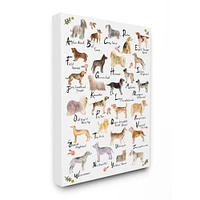 Stupell Industries Alphabet of Dogs with Florals Wall Art