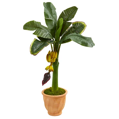 3ft. Banana Tree with Fruit in Terracotta Planter