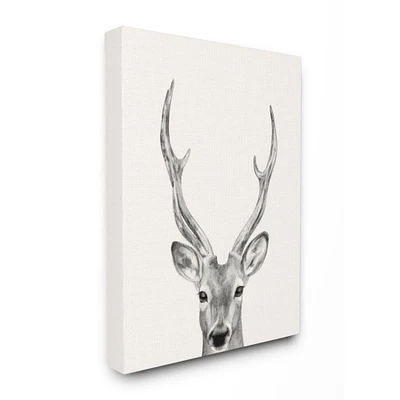 Stupell Industries Deer Portrait Grey Drawing Design Canvas Wall Art