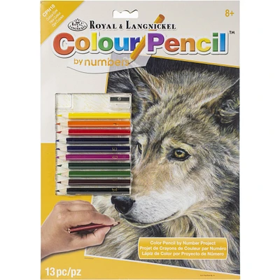 Royal & Langnickel® Curious Eyes Colour Pencil™ by Number Kit