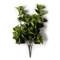 Green Hanging Grape Leaf Bush by Ashland®