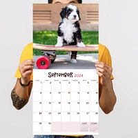 TF Publishing 2024 Puppies Wall Calendar