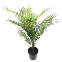 3ft. Potted Green Areca Palm Tree by Ashland®