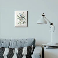 Stupell Industries Botanical Plant Illustration Wall Art in Frame