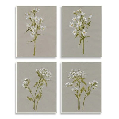 Stupell Industries Vintage White Wild Flower Study Soft Petals,10" x 15"