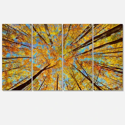 Designart - Tree Tops in Autumn Forest