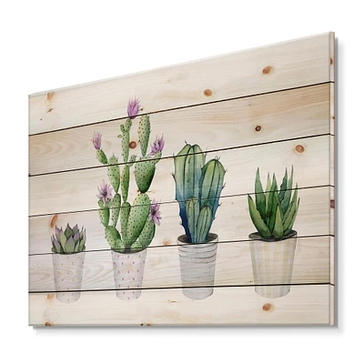 Designart - Cactus Succulent Aloe Vera Home Plants In The Pots