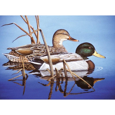 Royal & Langnickel® Blue Water Mallards Paint By Number Kit