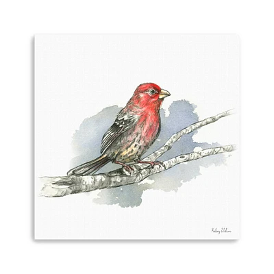 Birds Branches IV House Finch Canvas Giclee