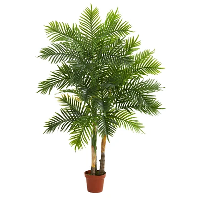 5ft. Potted Areca Palm Tree