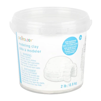 12 Pack: 2lb. White Modeling Clay by Creatology™