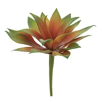 Burgundy Green Succulent Pick by Ashland®