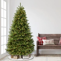 7.5ft. Pre-Lit Fraser Fir Grand Artificial Christmas Tree, Clear Lights