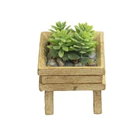 Mini Succulent Plant by Ashland®