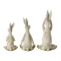 Yoga Rabbit Set