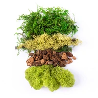 24 Pack: SuperMoss® Preserved Mixed Moss