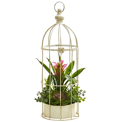 19" Bromeliad & Succulent Artificial Arrangement in Bird Cage