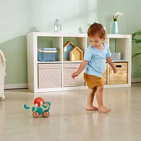 Hape Walk-A-Long Roll & Rattle Kitten Wooden Toddler Toy