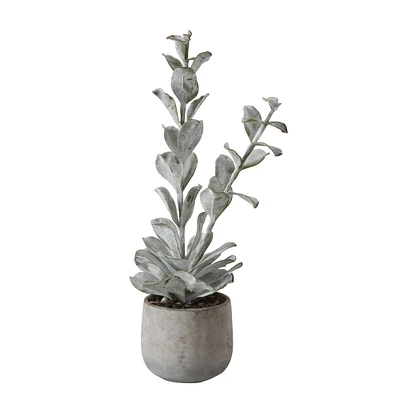 24" Succulent in Cement Pot